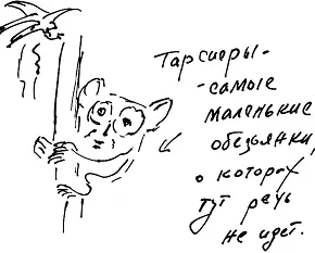 Один из пунктов культурной программы в Индонезии посещение сафарипарка На - фото 82