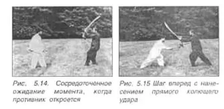 Китайское искусство владения мечом Руководство по тайцзи цзянь - фото 108