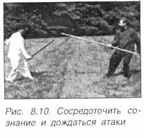 Китайское искусство владения мечом Руководство по тайцзи цзянь - фото 543