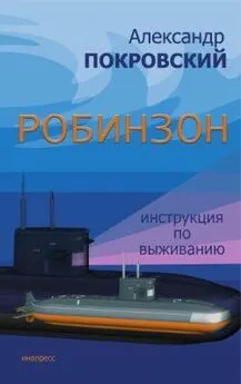 Александр Покровский - Робинзон. Инструкция по выживанию