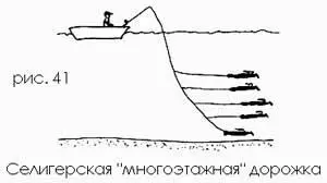 На Селигере проблема решается просто вместо спиннинга здесь ловят судака - фото 42