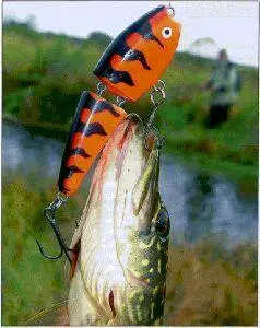 Salmo Rolling Minnow ев как человек давно сотрудничающий с данной латвийской - фото 20