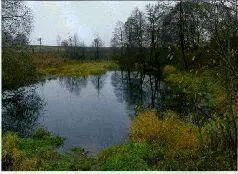 На таком водоеме очень важно выверять каждый заброс не допуская ничего - фото 31