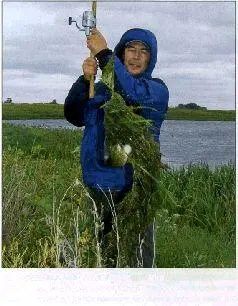 Снасть для ловли щуки в траве должна быть весьма мощной Вес рыбы за счет - фото 40