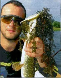 Megabass Vision 100 надежное средство для вылова щуки в травяной обстановке - фото 43