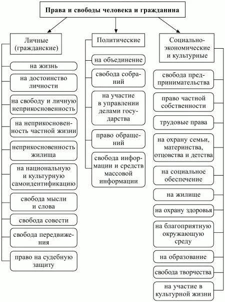 Схема 6 Классификация прав и свобод человека 1 Самое общее деление прав и - фото 6