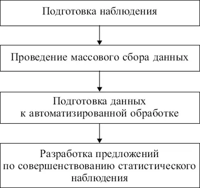 Рис 21 Схема проведения статистического наблюдения Процесс подготовки - фото 3