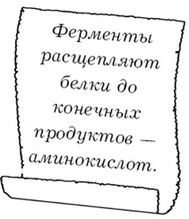 Фермент панкреатического сока расщепляющий жиры липаза действует в - фото 2