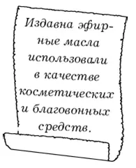 Известны мятное анисовое эвкалиптовое тминное гвоздичное сандаловое масла - фото 7