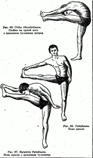 Стойка на одной ноге с наклоном туловища вперед рис 85 1я фаза стать - фото 33