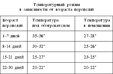 Для ремонтных перепелят используют круглосуточное освещение в первые 2 недели - фото 11