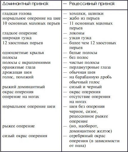 Практика разведения На практике разведение голубей кажется любому заводчику - фото 4