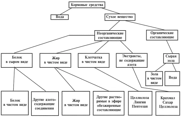 Белки Кровь кожа мышечная масса внутренние органы перья голубя состоят в - фото 4