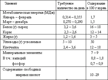 В связи с этим шиншилл почти всегда надо кормить очень хорошо только лучшими - фото 16