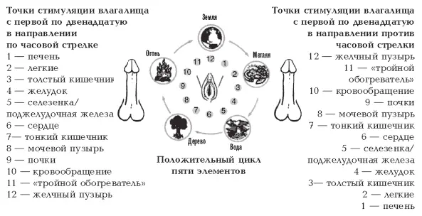 Глава 9 Предстательная железа человеческая батарейка Массаж предстательной - фото 60