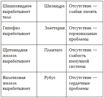 В 1965 году доктор Такучи Шотаи из Токио уже занимался изучением семи семенных - фото 67