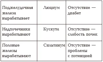 В 1965 году доктор Такучи Шотаи из Токио уже занимался изучением семи семенных - фото 68