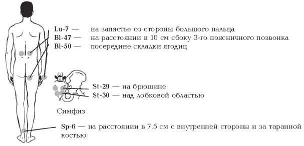 Избавление от болезненных ощущений в пенисе Lu7 St29 St30 Sp6 Bl47 Bl50 - фото 79