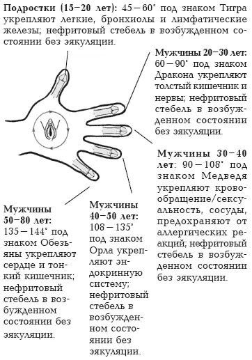 Во время эякуляции все перечисленные органы семь желез и эрекция ослабляются - фото 86