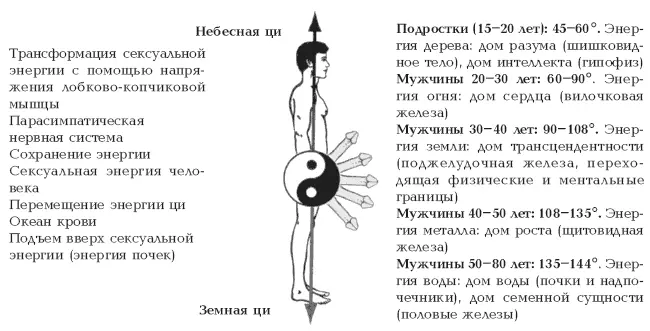 Дао сексуальной мудрости и любви различает пять типов энергии которые - фото 87
