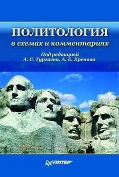 Александр Тургаев - Политология в схемах и комментариях