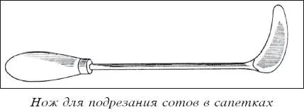 Мед и продукты пчеловодства - фото 30