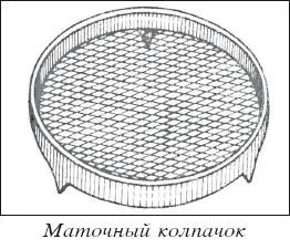 ПРИОБРЕТЕНИЕ СЕМЕЙ ПЧЕЛ И МАТОК Вопрос вопросов где и в какое время - фото 34