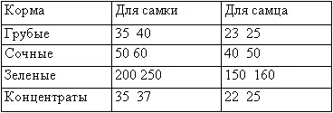 Летом содержание кроликов можно организовать на подножном корме Для этого надо - фото 51