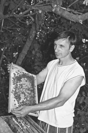 Пчеловод Незнамов Иван Иванович с рамкой с запечатанным росплодом Обрезка - фото 93
