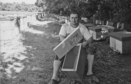 На фото Тедеев Аркадий с пчелопакетом Диафрагма Рамка с вощиной Станица - фото 108