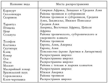Самый ядовитый паук Каракурт один из многочисленных представителей отряда - фото 88