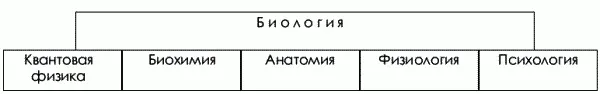 Биохимический компонентявляется субстратом основой костной мышечной и др - фото 359