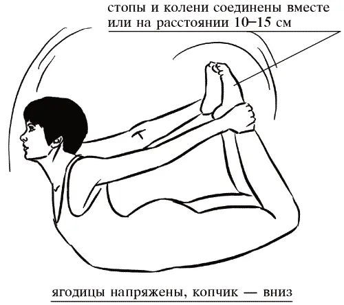 БХУДЖАНГАСАНА Полная поза Кобры Исходное положение Лечь лицом вниз ноги - фото 167