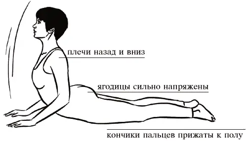 Завершение позы На выдохе держите ягодицы напряженными а поясницу нейтрально - фото 168