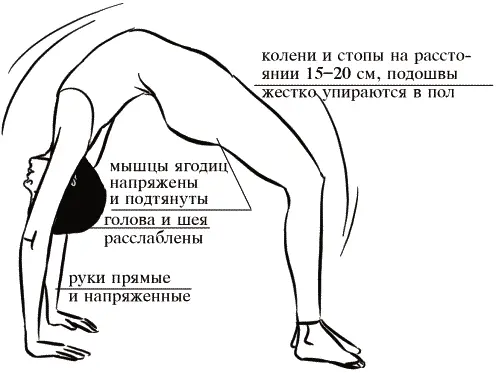 ЭКА ПАДА РАДЖАКАПОТАСАНА Растяжка в позе Голубя Исходное положение Из позы - фото 171
