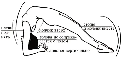 Завершение позы Согните колени освободите кисти и опуститесь на пол - фото 176