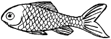 Рис 16 Барбус Прежде всего надо назвать харациновых рыб большинство из - фото 16