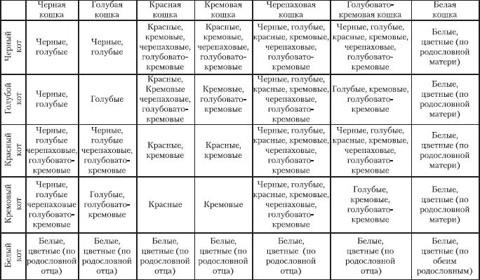 Отправляя кошку на самолете для вязки желательно сразу договориться с - фото 13