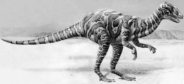 Рис 3 Ставрикозавр Staurikosaurus pricei ящер созвездия Южного Креста из - фото 5