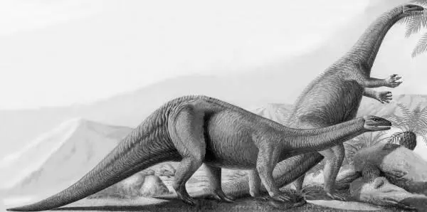 Рис 4 Платеозавр Plateosaurus engelhardti плоский ящер Энгельгардта из - фото 6