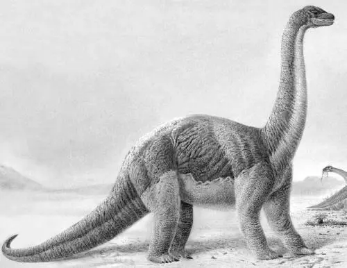 Рис 5 Барапазавр Barapasaurus tagorsi большеногий ящер из подотряда - фото 7