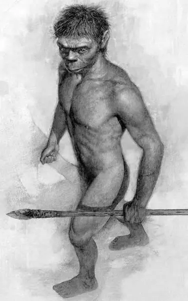 Рис 8 Человек с острова Флорес Homo floresiensis обитал на одном из Малых - фото 10