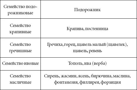 3 Продукты питания не переносимые пациентами с поллинозом 4 Продукты - фото 4