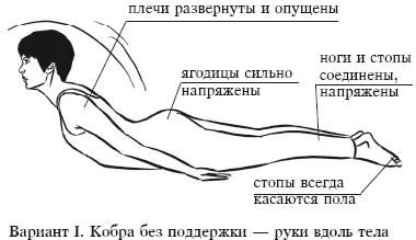 БХУДЖАНГАСАНА Полная поза Кобры Исходное положение 1Лечь лицом вниз ноги - фото 38