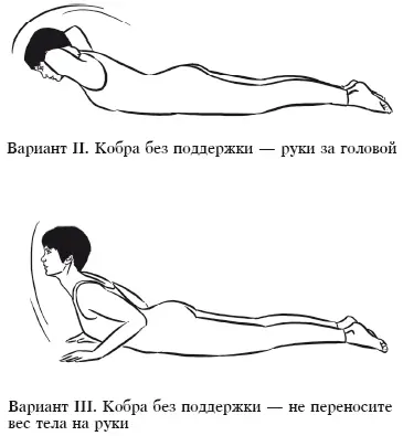БХУДЖАНГАСАНА Полная поза Кобры Исходное положение 1Лечь лицом вниз ноги - фото 39