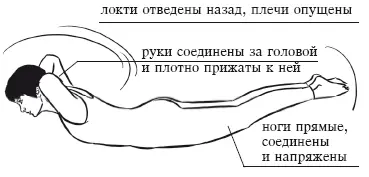 Важные действия Копчик всегда двигается вниз Подколенные участки - фото 95