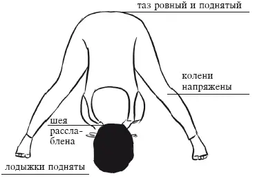 АРДХА ЧАНДРАСАНА Поза Полумесяца Исходное положение 1Из Тадасаны перейдите в - фото 127