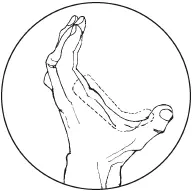 Вся передняя часть кулака Область суставов указательного среднего - фото 13