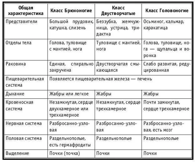 Тематическое и поурочное планирование по биологии 7 класс - изображение 236