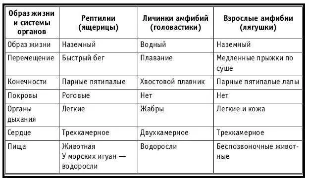 Тематическое и поурочное планирование по биологии 7 класс - изображение 351